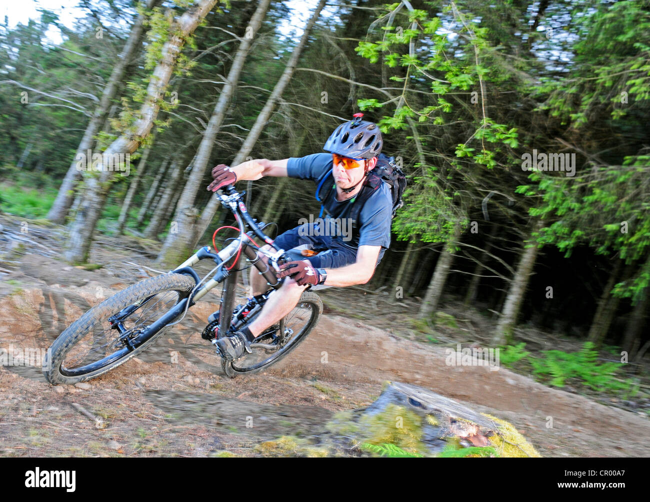 Mountain bike nei sentieri del bosco Foto Stock