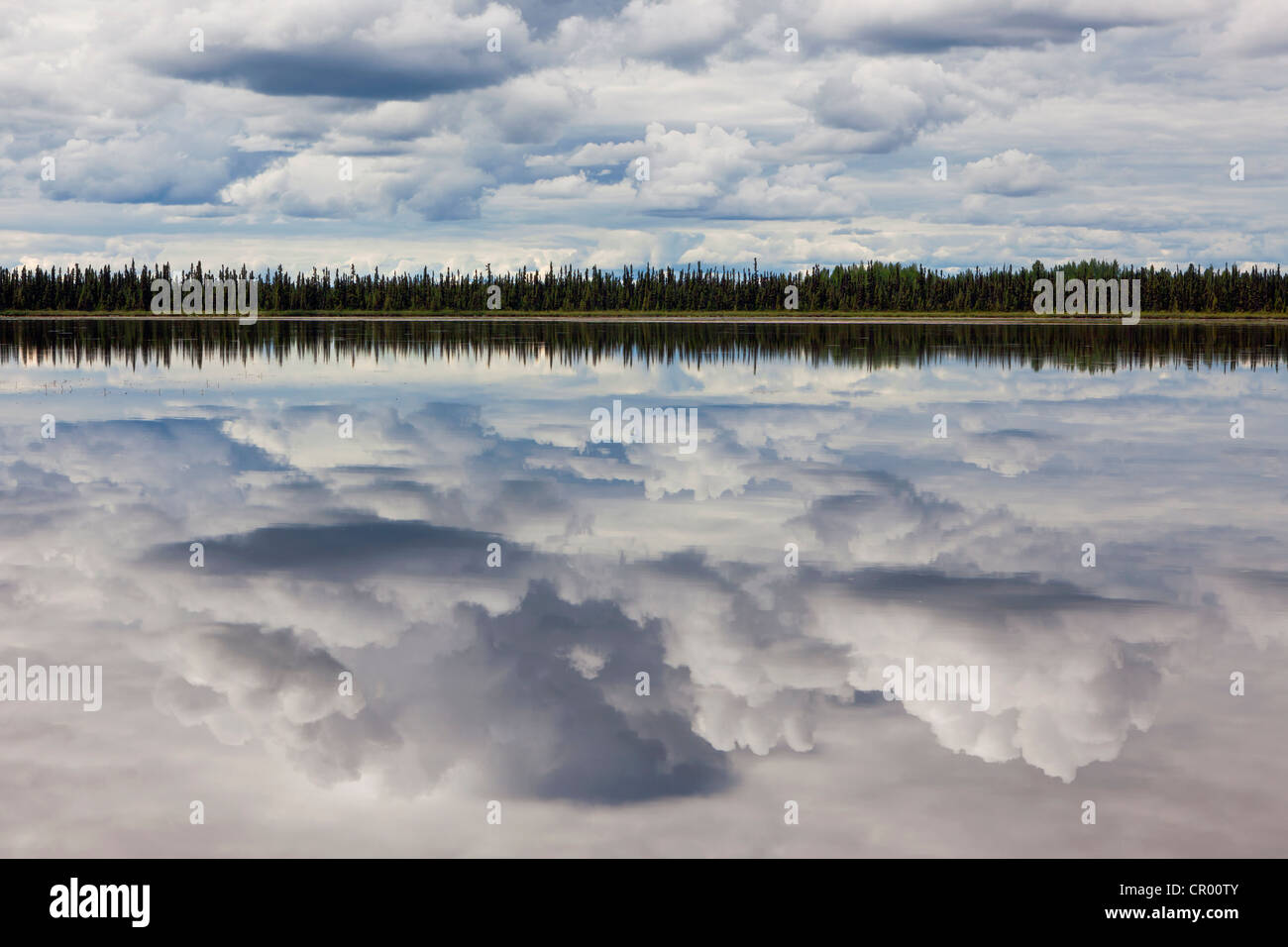 Il Cloud riflessioni di un lago vicino Williow in Alaska Usa PublicGround Foto Stock