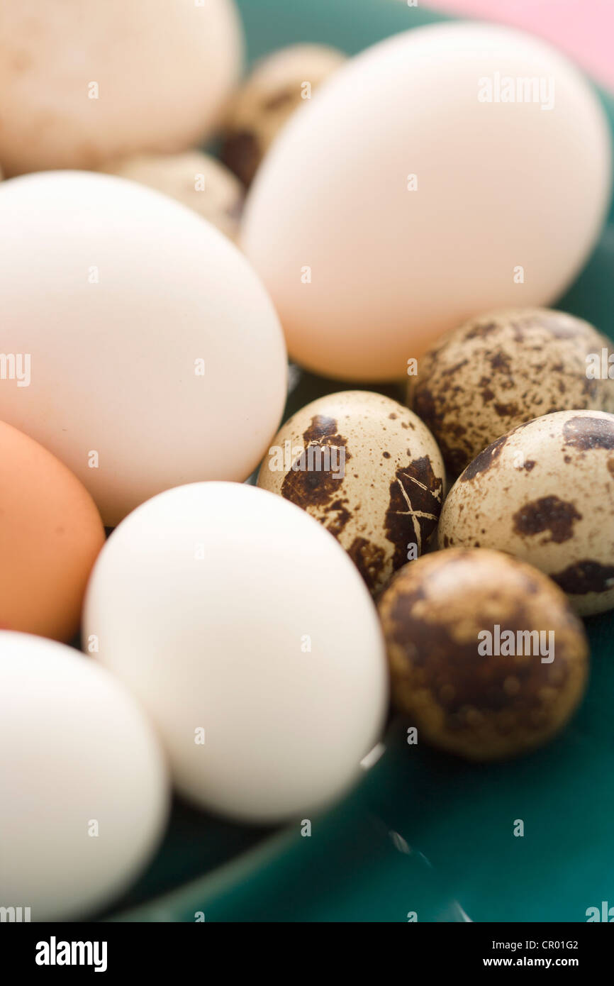 Close up di varie uova colorate Foto Stock