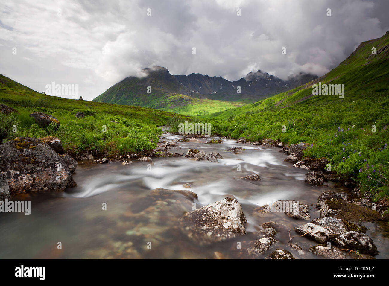 Ruscello di montagna nelle montagne Talkeetna, Alaska, Stati Uniti d'America, America del Nord Foto Stock