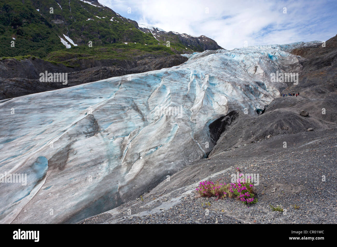 Exit Glacier appartiene alla Kenai Mountains ed è alimentato dall'Harding Icefield, Penisola di Kenai, Alaska, STATI UNITI D'AMERICA Foto Stock
