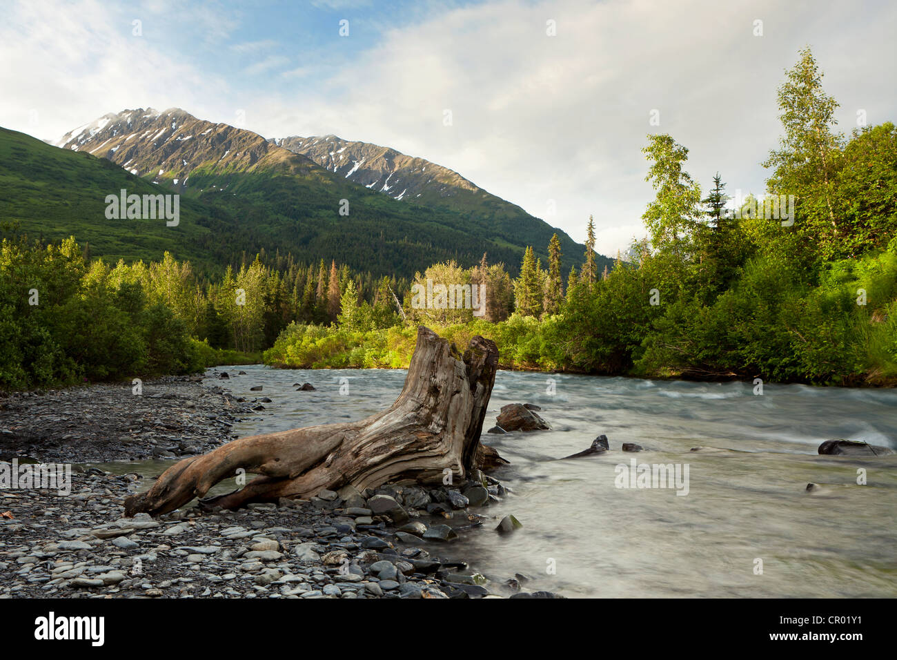 Berha Creek in mattinata sulla Penisola di Kenai, Alaska, STATI UNITI D'AMERICA, PublicGround Foto Stock