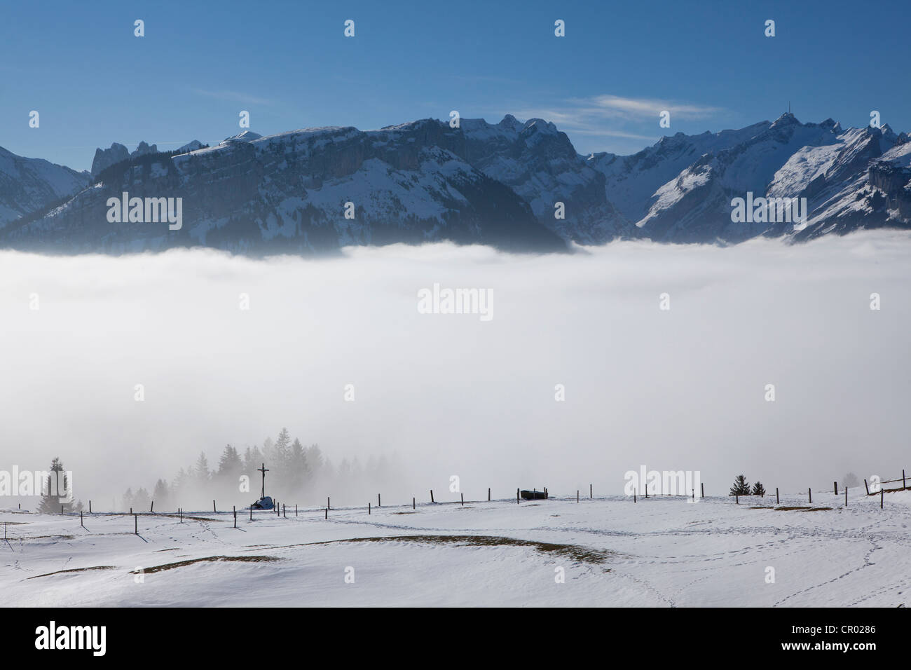 Vista dell'Alpstein massiccio con Mt. Saentis e pascoli di montagna nella neve, Alpstein gamma, alpi svizzere, Svizzera, Europa Foto Stock