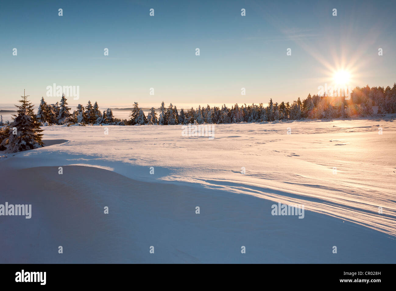 Paesaggio invernale con Sun nella Foresta Nera settentrionale, Baden-Wuerttemberg, Germania, Europa Foto Stock