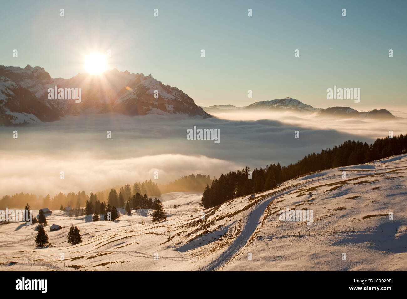 Alpstein massiccio con Mt Saentis e un alpeggio ricoperta di neve, Appenzell Alpi, alpi svizzere, Svizzera, Europa Foto Stock