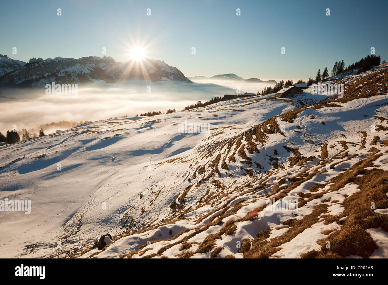 Alpstein massiccio con Mt Saentis e un alpeggio ricoperta di neve, Appenzell Alpi, alpi svizzere, Svizzera, Europa Foto Stock