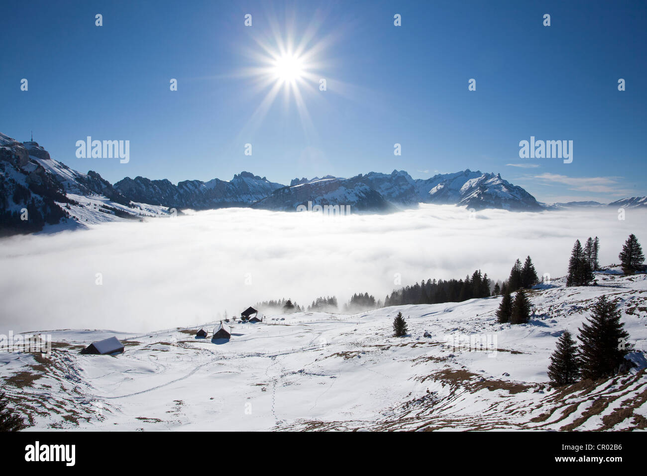 Alpstein massiccio con Mt Saentis, uno strato di nubi e un alpeggio ricoperta di neve, Appenzell Alpi, Alpi Svizzere Foto Stock