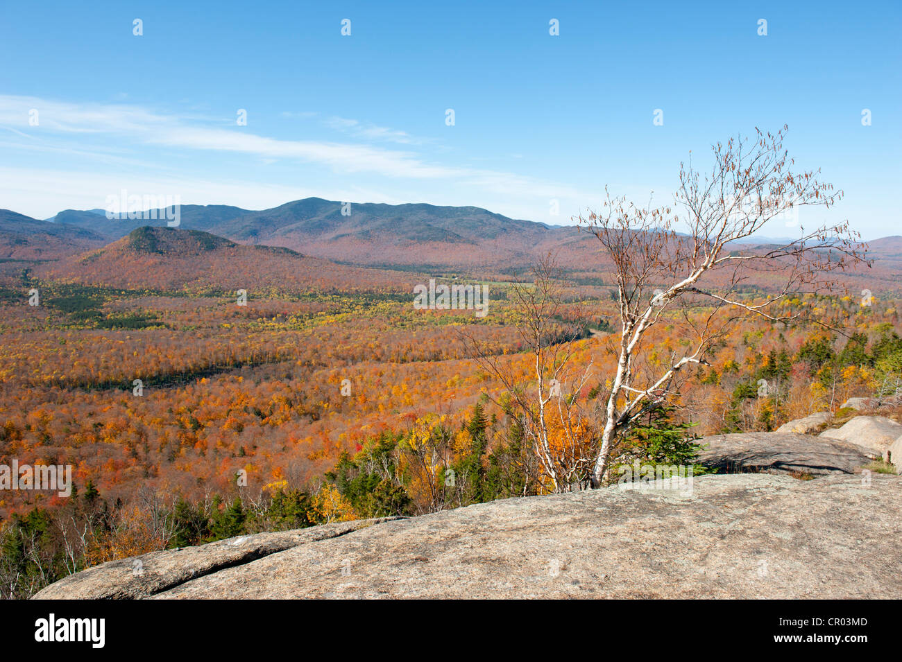 Montagne e foreste, foglie colorate in autunno, estate indiana, vista dal Monte Van Hoevenberg, Lake Placid Foto Stock