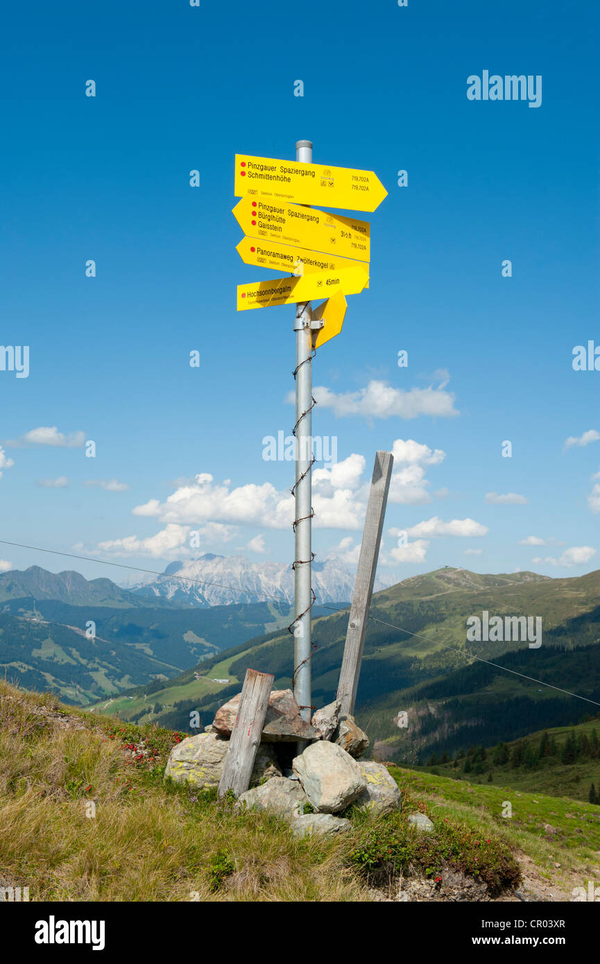 Cartello giallo del club alpino austriaco, OEAV, Pinzgauer a piedi, con Leogang montagne di pietra in background, Kitzbuehel Alpi Foto Stock
