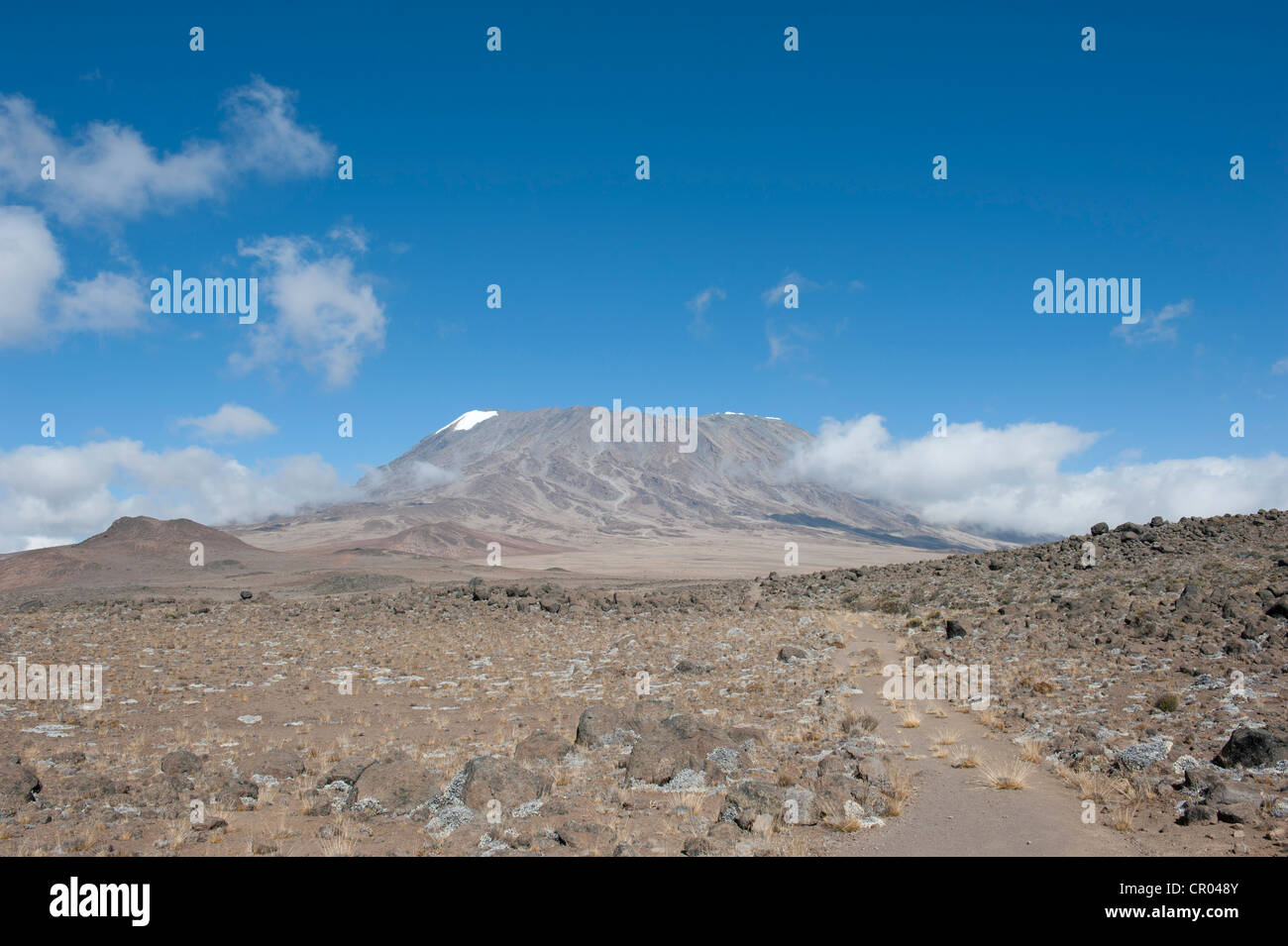 Vista attraverso il Kibo sella fino alla vetta del Monte Kilimanjaro, alla Marangu Route, Tanzania, Africa orientale, Africa Foto Stock