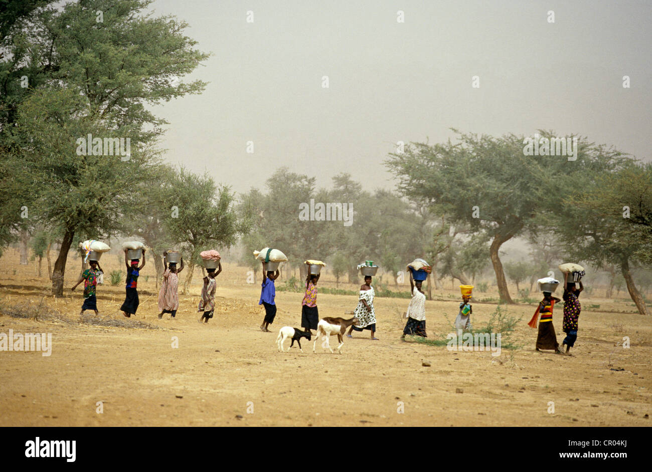 Mali, Paese Dogon, Bandiagara Cliff elencati come patrimonio mondiale dall' UNESCO, torna a delle donne che portano il lavaggio sulla loro testa Foto Stock
