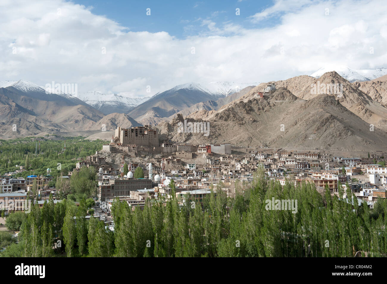 Alta angolazione del distretto storico di Leh, rovinato Leh Palace, pioppi, scenario di montagna, Ladakh, regione di Jammu e Kashmir Foto Stock