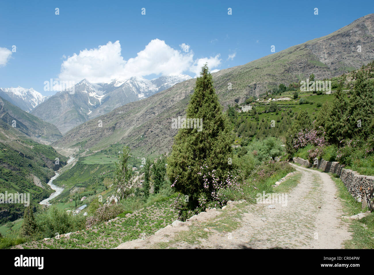 Strada di Montagna nella verde valle di Keylong, Lahaul e Spiti district, Himachal Pradesh, India, Asia del Sud, Asia Foto Stock