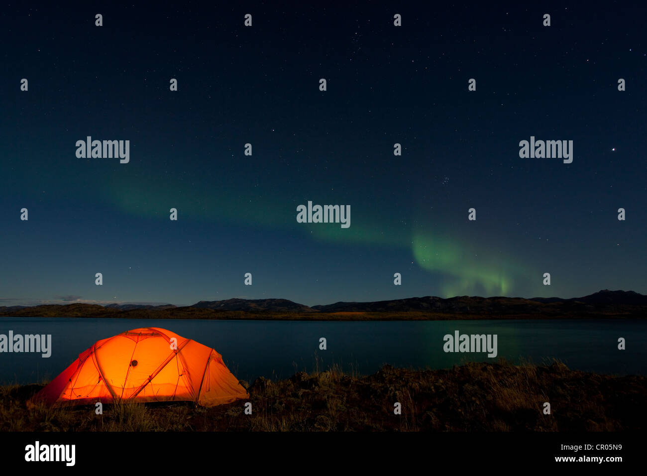 Spedizione illuminato tenda, Northern Lights, Aurorae polare, Aurora Boreale, verde, riflessi in acqua, Lago Laberge Foto Stock