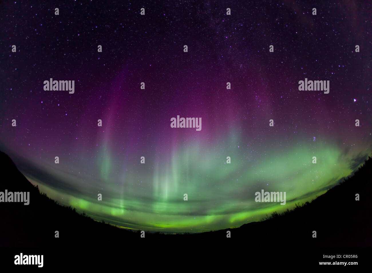 Le tende di Northern Lights, Aurorae polare, Aurora Boreale, verde, rosa, viola, vicino a Whitehorse, Yukon Territory, Canada Foto Stock