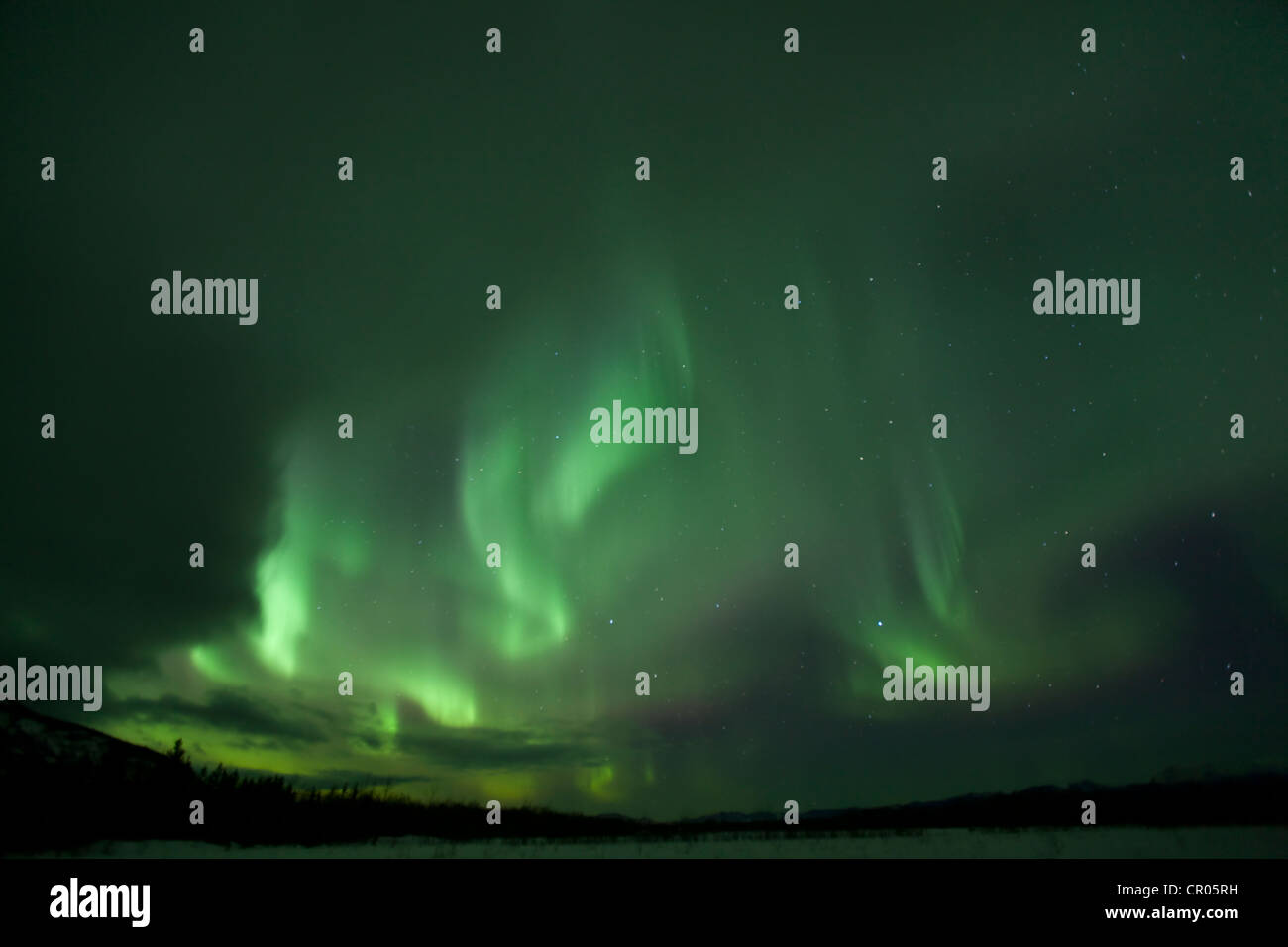 Moto vorticoso Northern Lights, polari o aurora Aurora Boreale, verde, vicino a Whitehorse, Yukon Territory, Canada Foto Stock