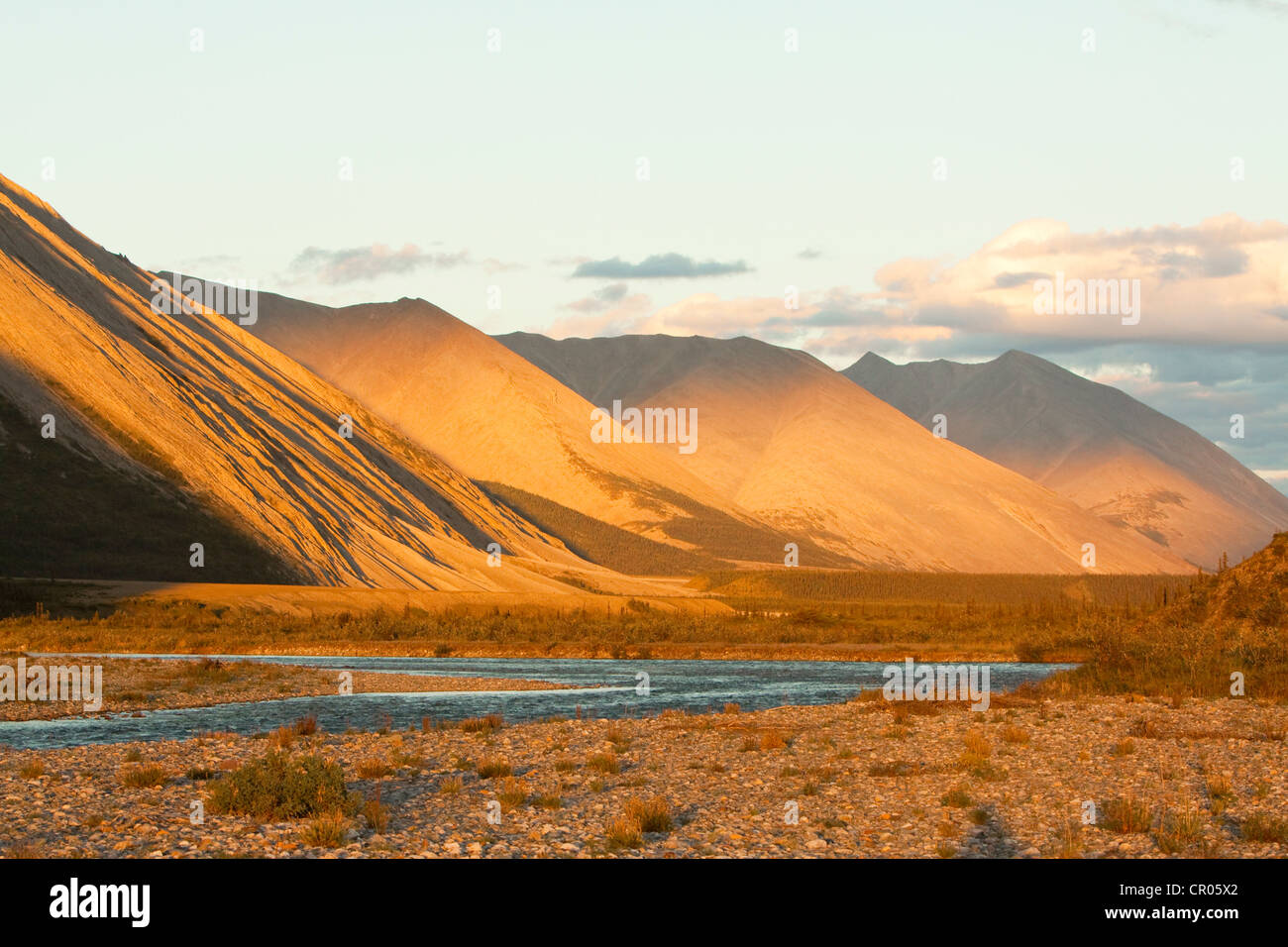 Luce della Sera, tundra artica, Wind River, Mackenzie montagne, sbucciare spartiacque Yukon Territory, Canada Foto Stock