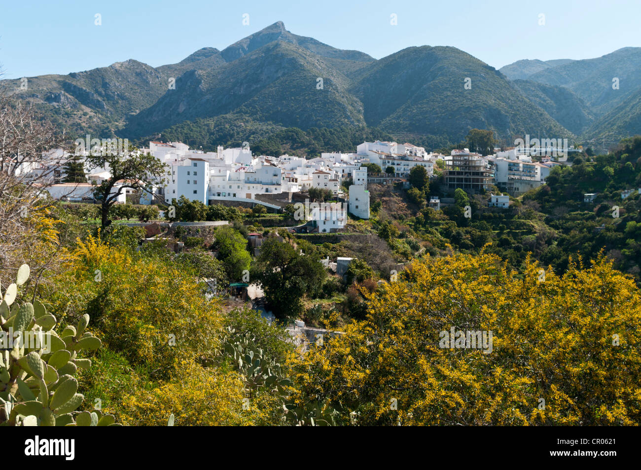 Istán, un tipico pueblo blanco o villaggio bianco in Andalusia, Spagna Foto Stock