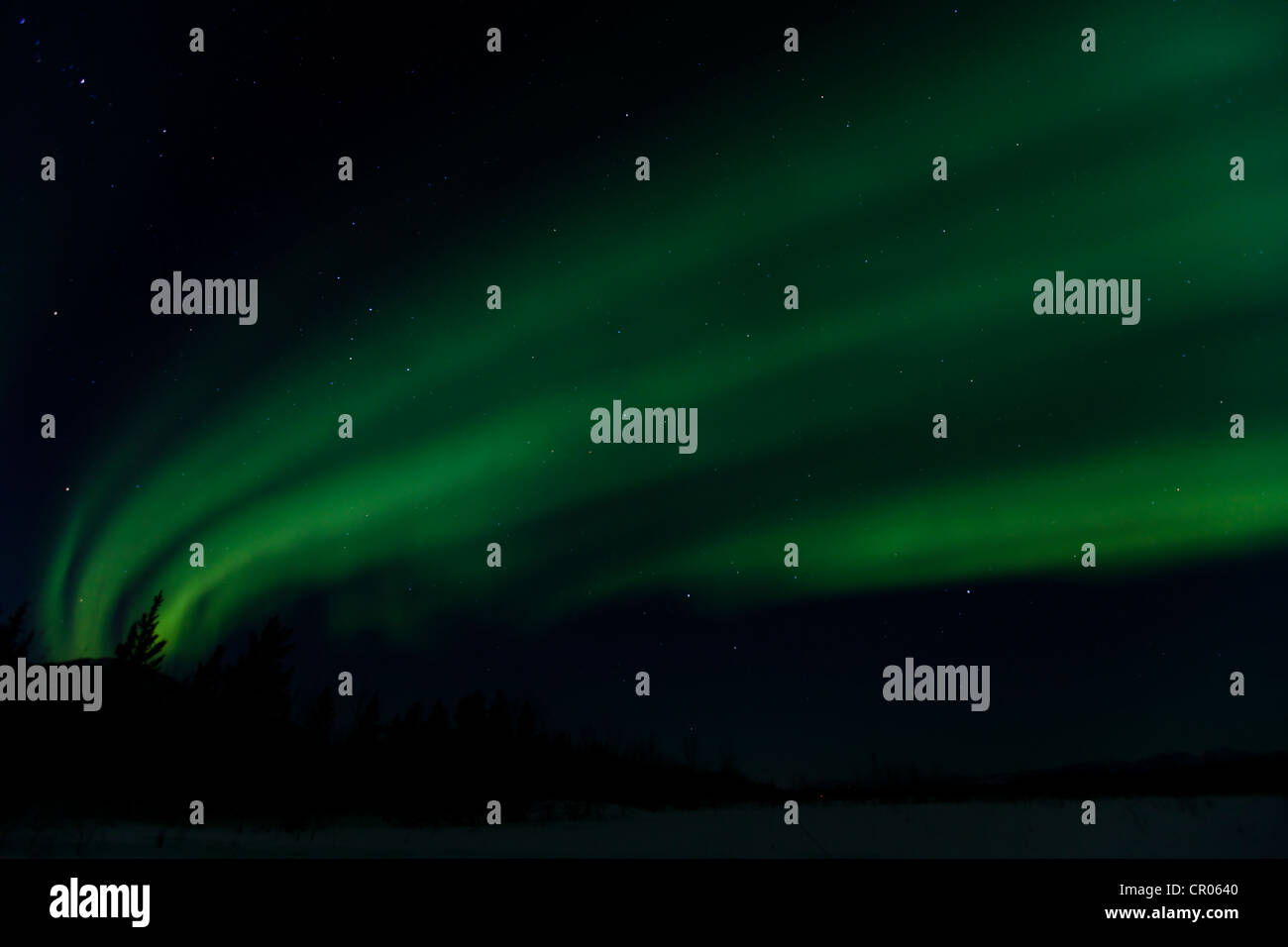 Vortice polare settentrionale luci, Aurora boreale, verde, vicino a Whitehorse, Yukon Territory, Canada, America Foto Stock