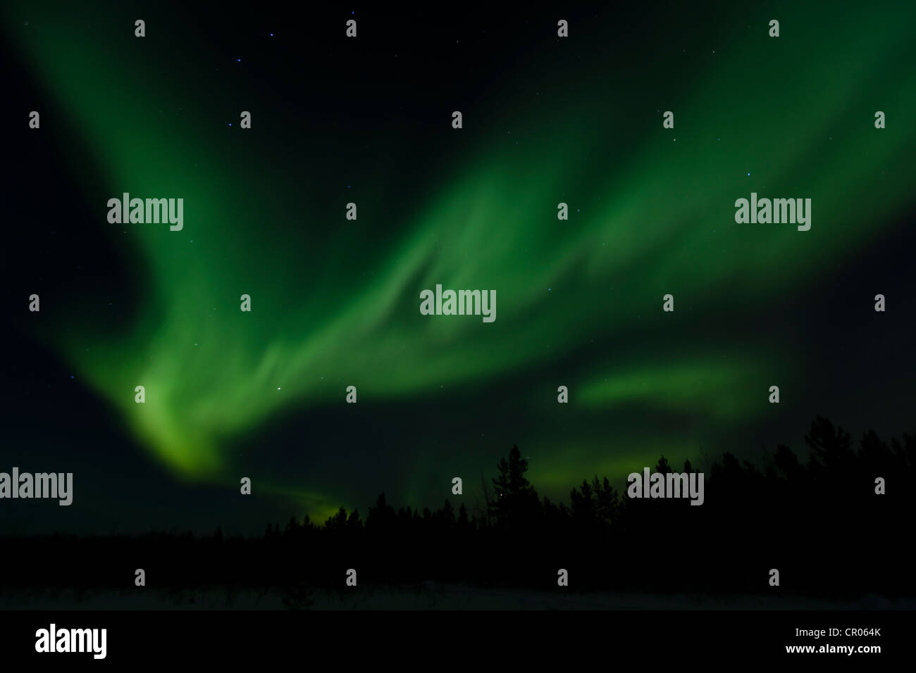 Vortice polare settentrionale luci, Aurora boreale, verde, vicino a Whitehorse, Yukon Territory, Canada, America Foto Stock