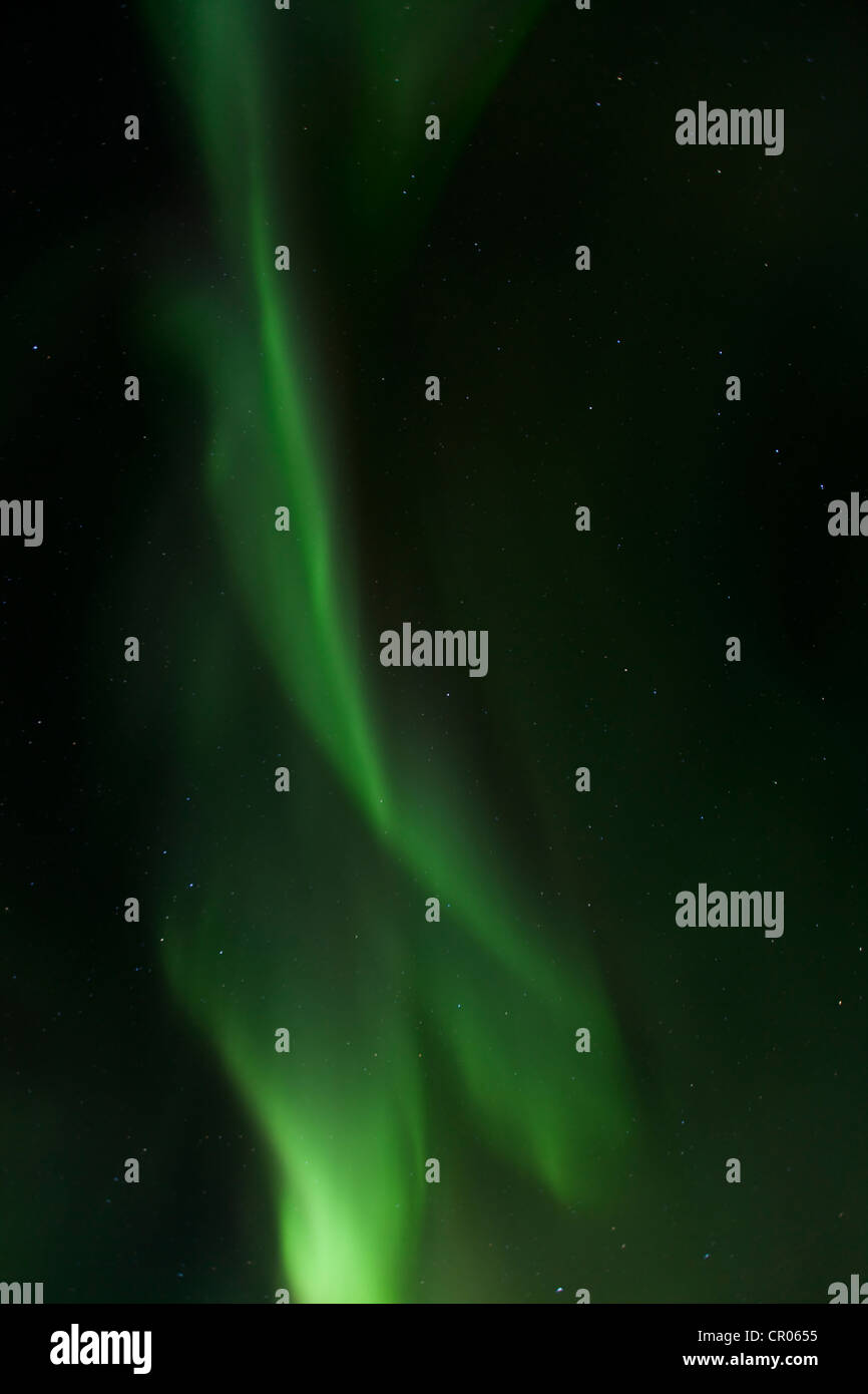 Tettuccio di vorticazione polare settentrionale luci, Aurora boreale, verde, vicino a Whitehorse, Yukon Territory, Canada, America Foto Stock