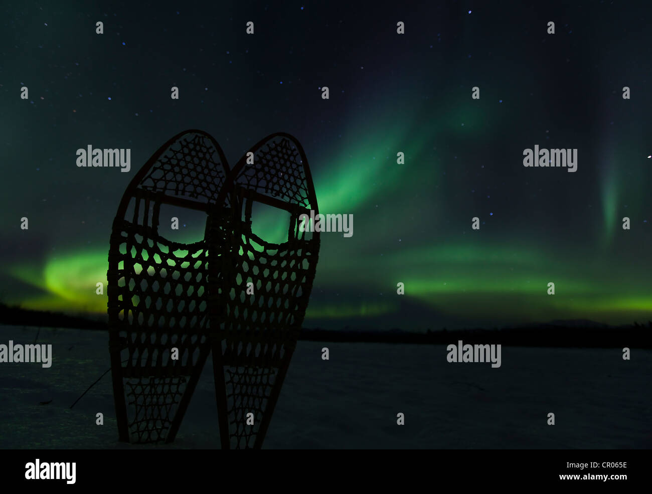 Silhouette di legno tradizionali scarpe da neve, polare settentrionale luci, Aurora boreale, verde, vicino a Whitehorse, Yukon Territory Foto Stock