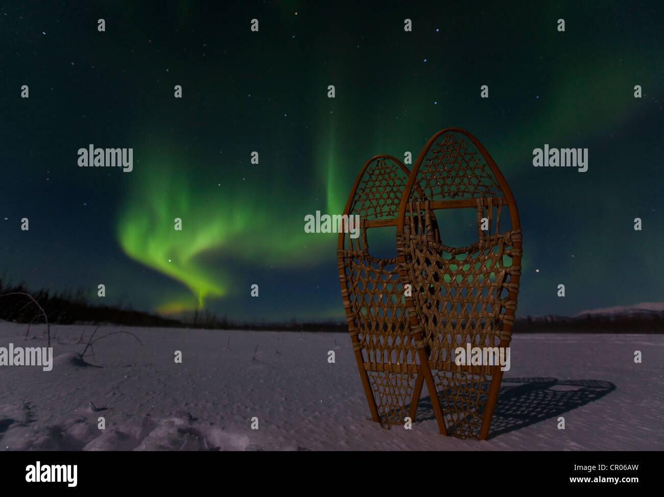 Silhouette di legno tradizionali scarpe da neve, verde polare settentrionale (luci di aurora boreale), vicino a Whitehorse, Yukon Territory Foto Stock