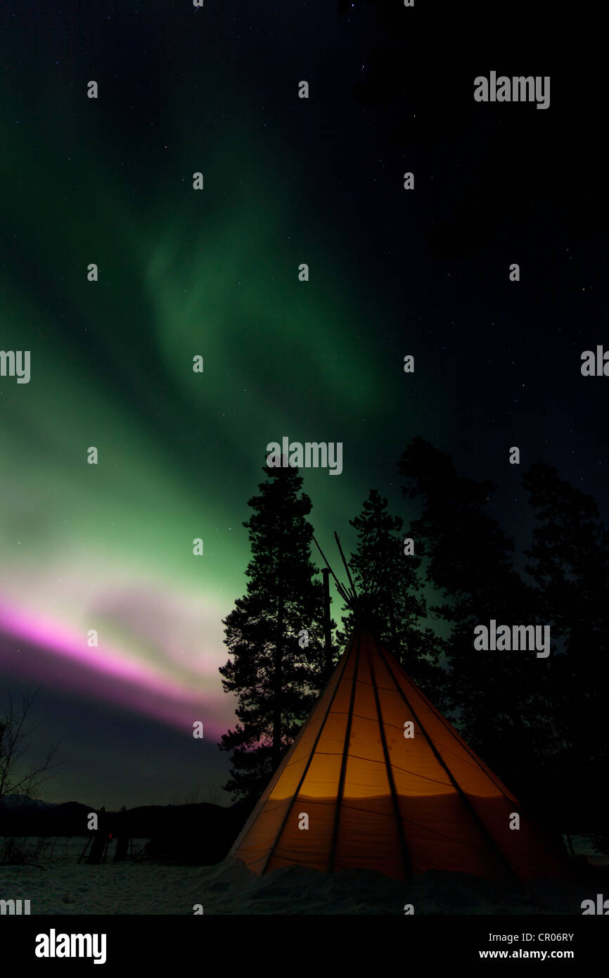 Teepee illuminato, tende Tepee, tepee, polare settentrionale (luci di aurora boreale), Rosa verde viola, vicino a Whitehorse, Yukon Territory Foto Stock