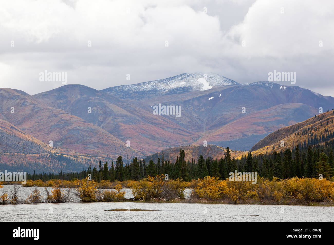 Pesce di lago e nei dintorni di sub-tundra alpina, estate indiana, le foglie in autunno i colori dell'autunno, Yukon Territory, Canada Foto Stock