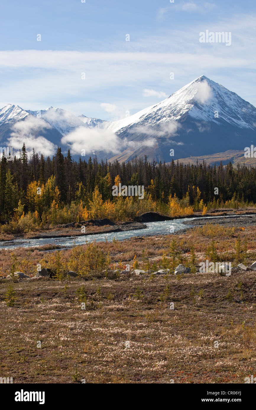 Quill Creek, estate indiana, le foglie in autunno i colori dell'autunno, St. Elias montagne, Parco Nazionale Kluane e riserva dietro Foto Stock