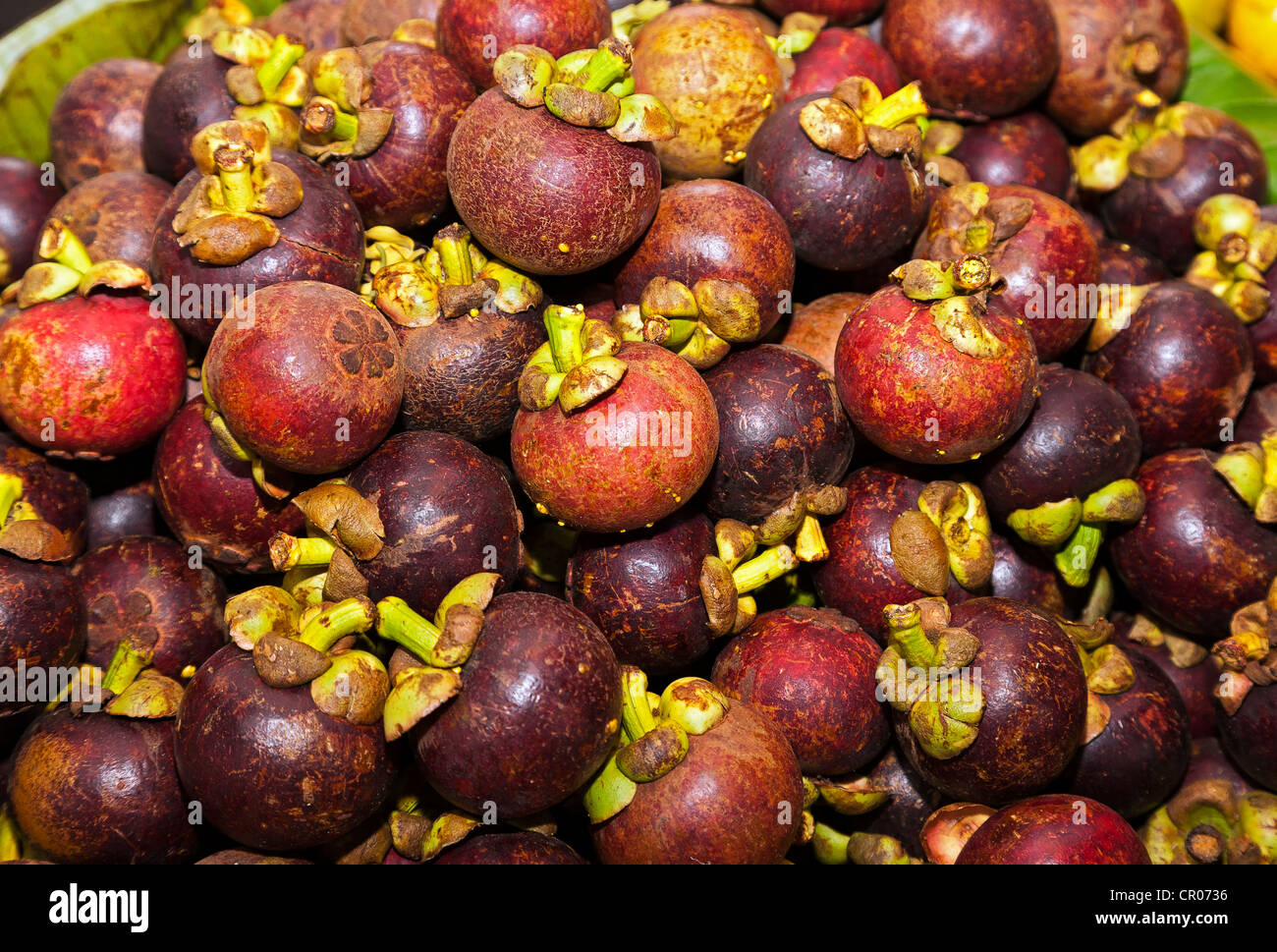 Mangosteen viola (Garcinia mangostana), il mercato nel mercato sale, Singaraja Bali Settentrionale, Bali, Indonesia, sud-est asiatico Foto Stock