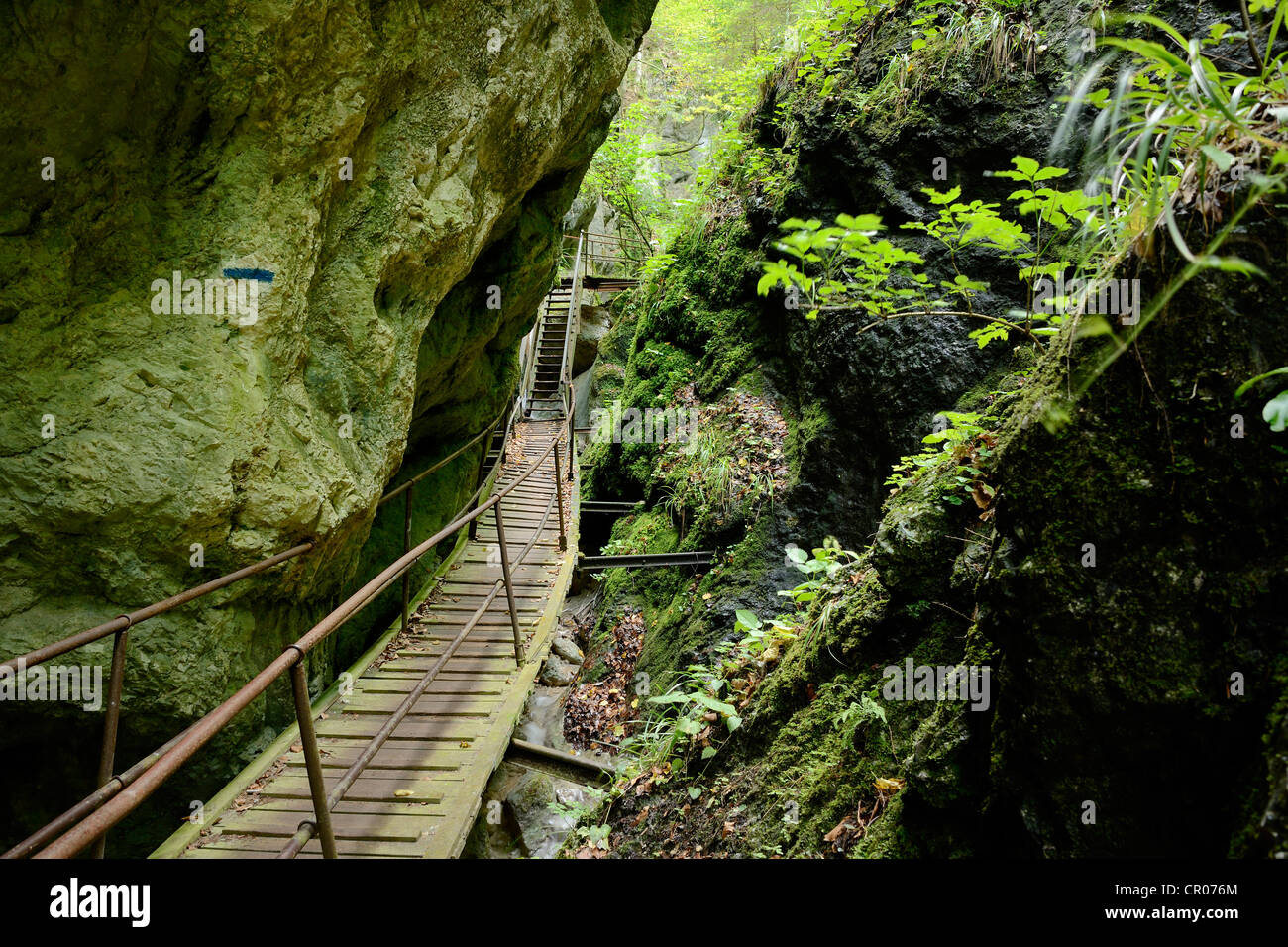 Strutture di arrampicata in steinwandklamm canyon, triestingtal valley, Austria inferiore, Austria, Europa Foto Stock
