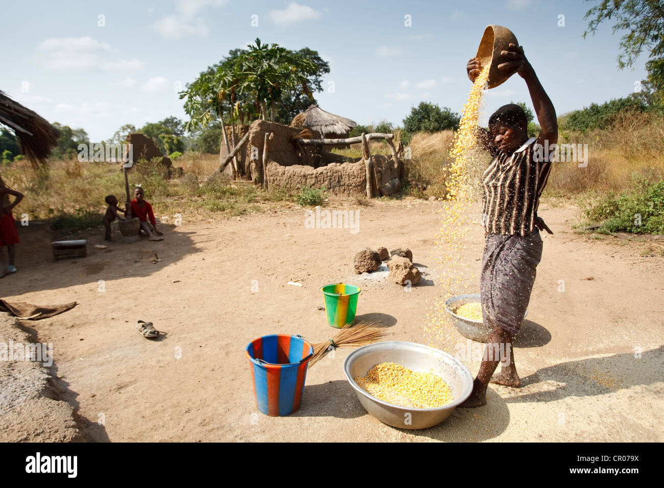 Una donna si riversa il granoturco secco da una altezza per separare la granella nel villaggio di Kirkpadouo, regione di Zanzan, Costa d'Avorio Foto Stock