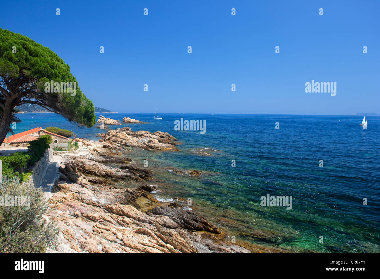 Francia, Var, Corniche des Maures, Le Lavandou, Cap de Saint Clair Foto Stock