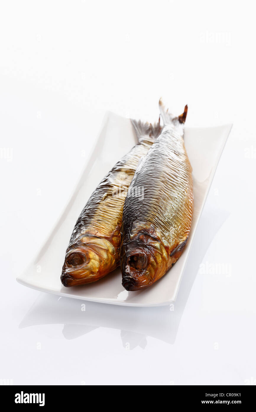 Atlantico Aringa (Clupea harengus), affumicati e salati Foto Stock