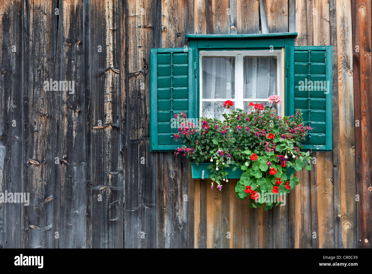 Tradizionale casa di legno, baita alpina con il verde dei serramenti e dei gerani, Salzkammergut, Austria, Europa Foto Stock