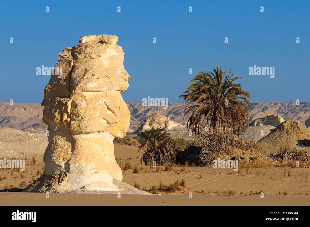 Egitto, Deserto Libico, Farafra, White Desert National Park, area Rajah Foto Stock