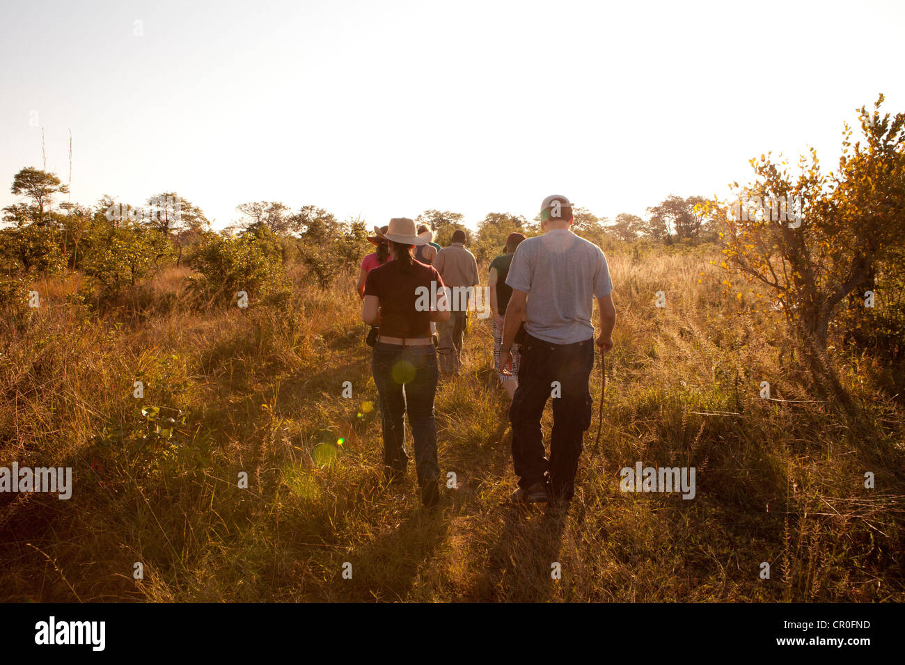 Gruppo di persone che camminano in tour a piedi in safari Livingstone, Zambia. Foto Stock