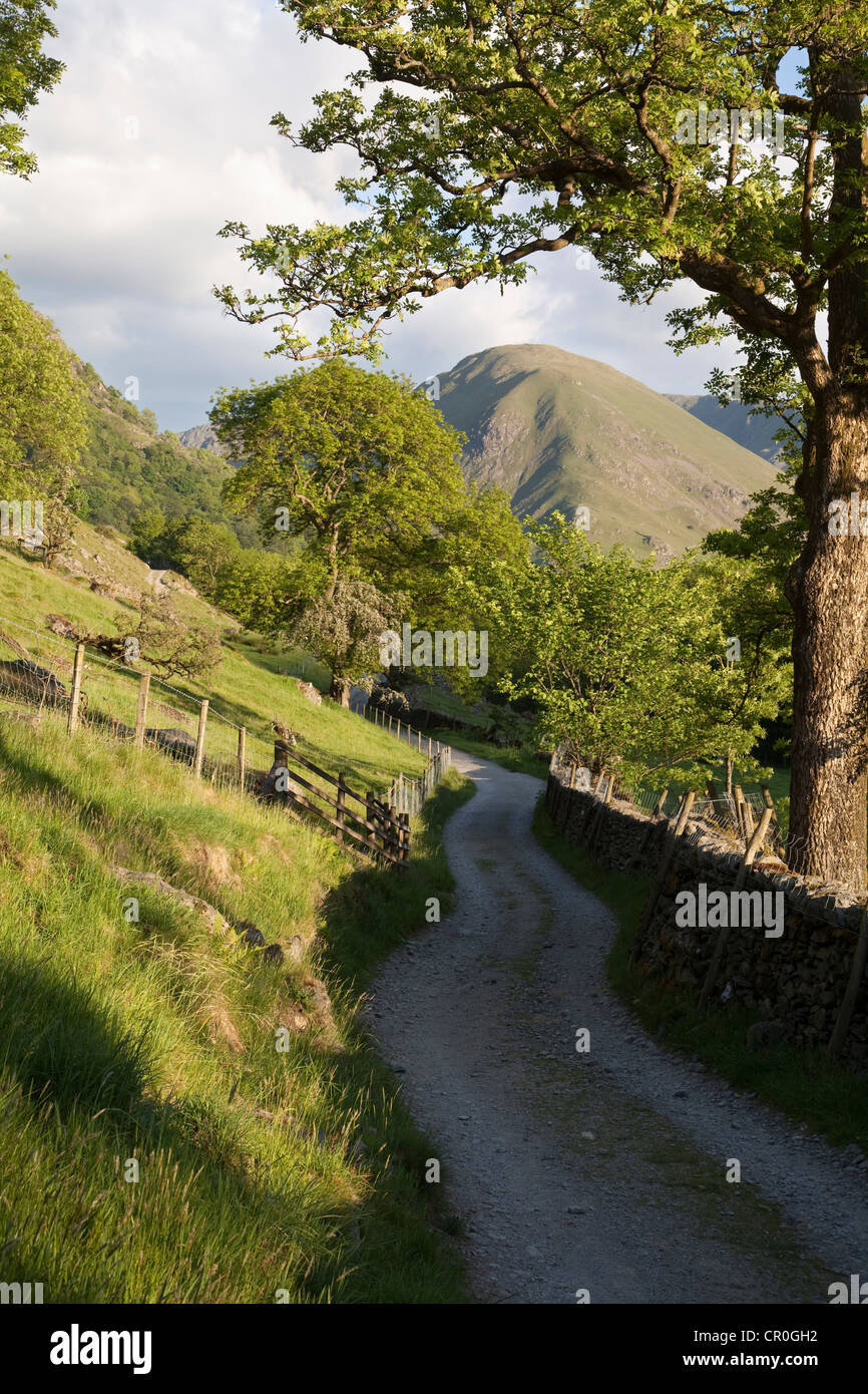 Hartsop Dodd dal Hartsop Valley, nel Parco Nazionale del Distretto dei Laghi. Foto Stock