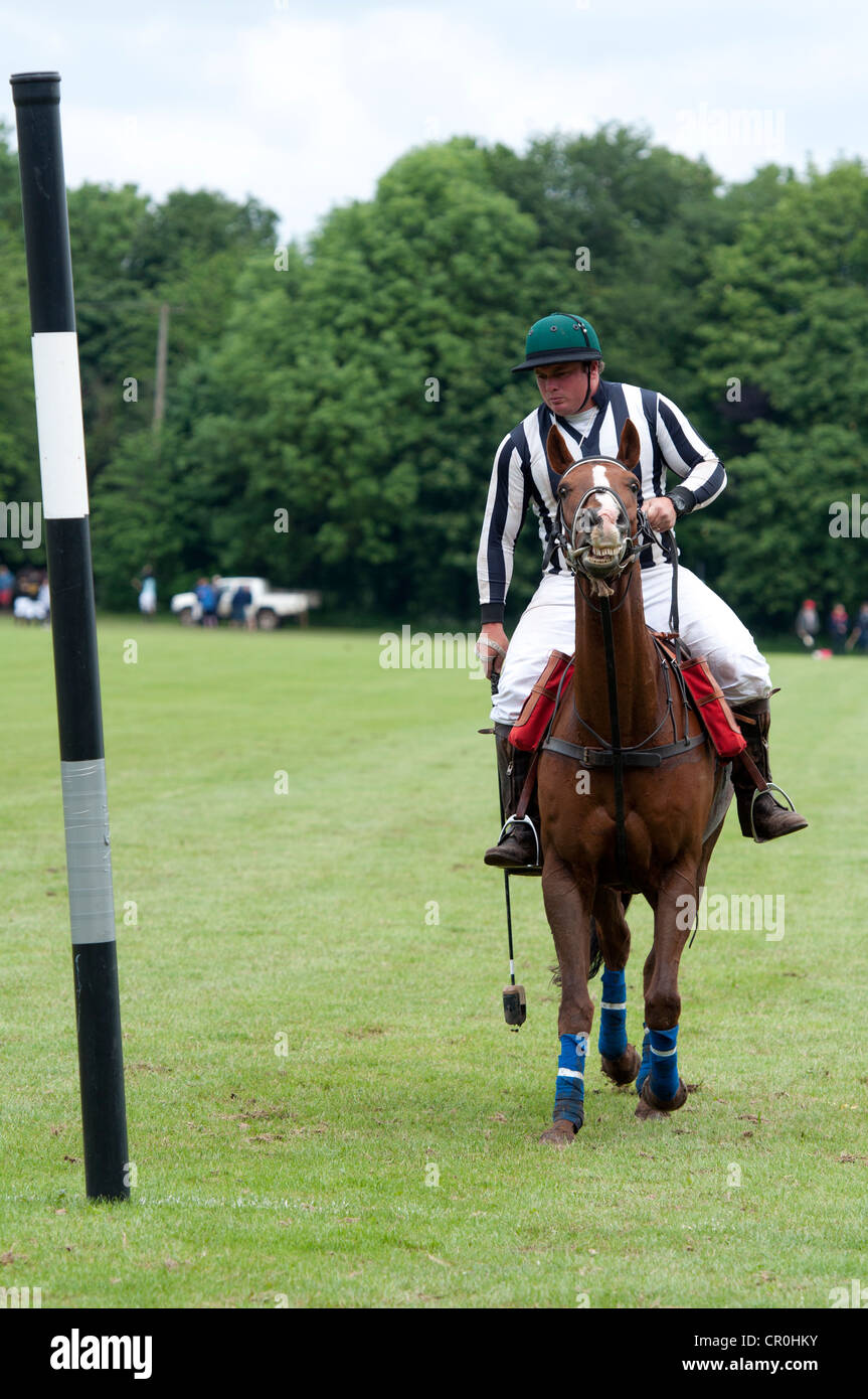 Arbitro di Polo Foto Stock