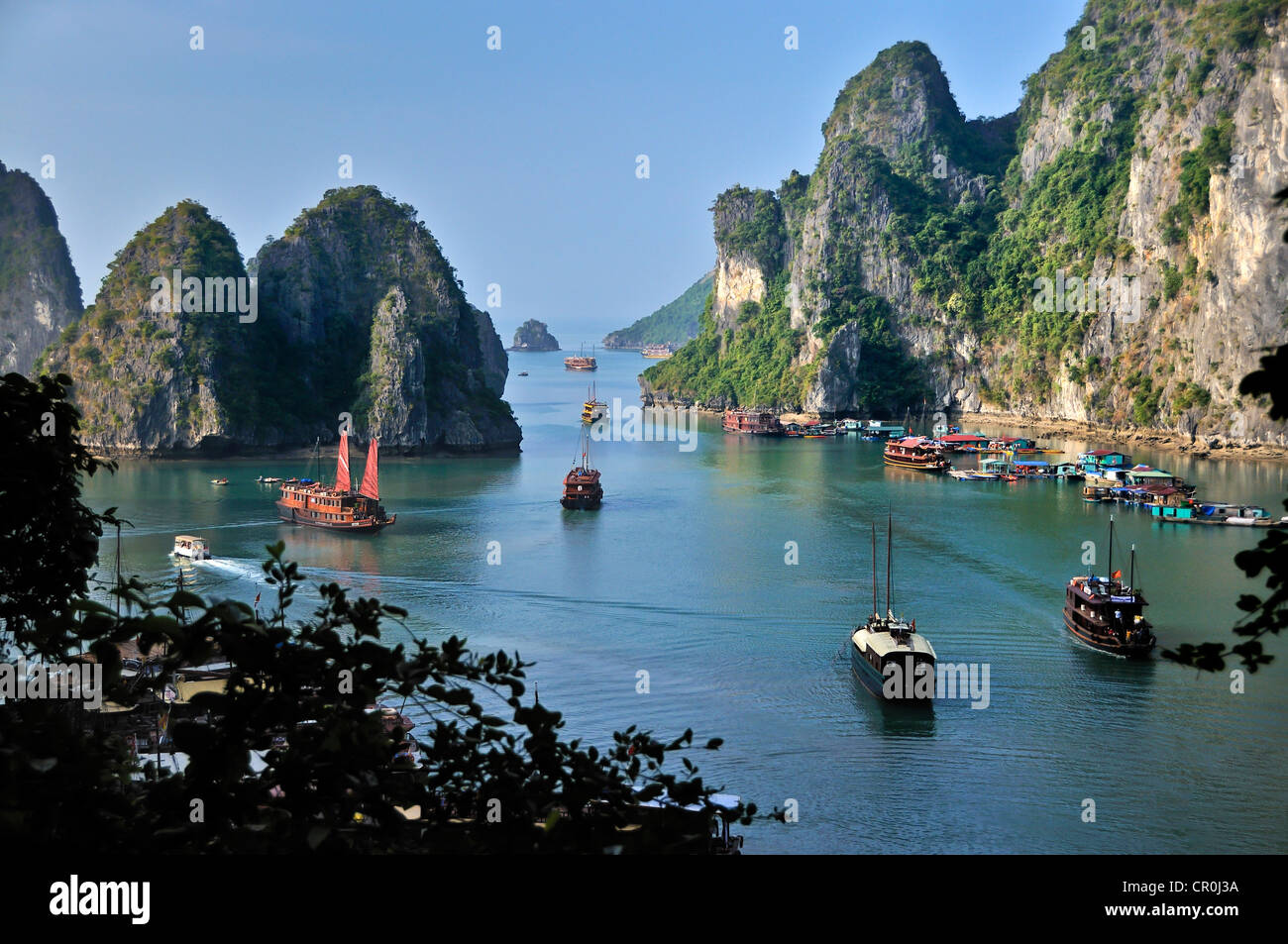 Barche giunche e nella baia di Halong, montagne carsiche nel mare, il Vietnam Asia Foto Stock