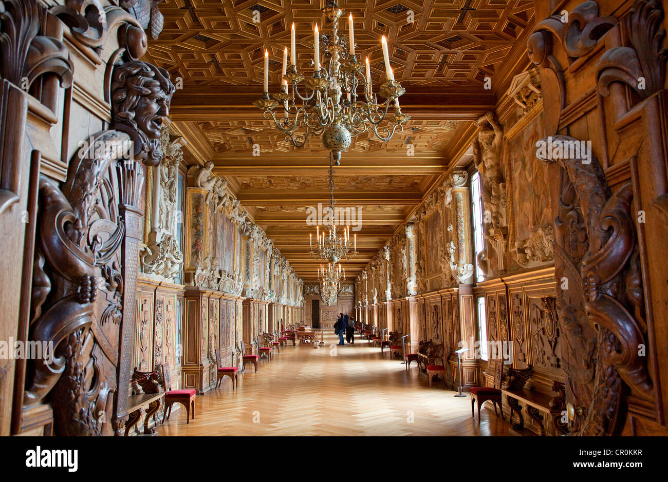 Francia Seine et Marne Fontainebleau Castello Reale elencati come patrimonio mondiale dall' UNESCO Galerie Francois I (Re Francois ho gallery) Foto Stock