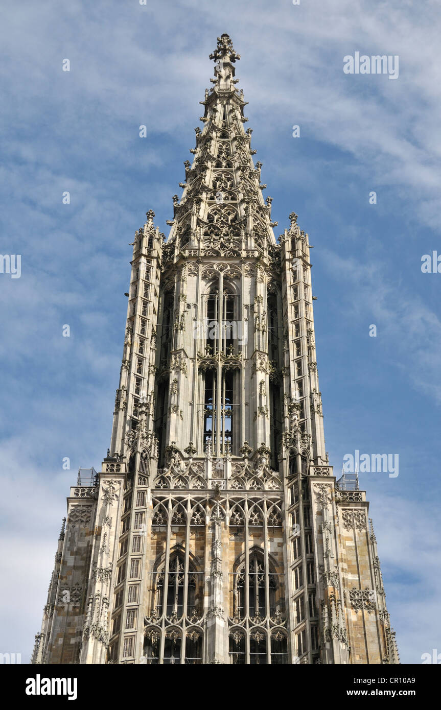 Ulmer Muenster chiesa, Ulm Minster, 161.53m, la torre campanaria più alta del mondo, Muensterplatz square, Ulm, Baden-Wuerttemberg Foto Stock
