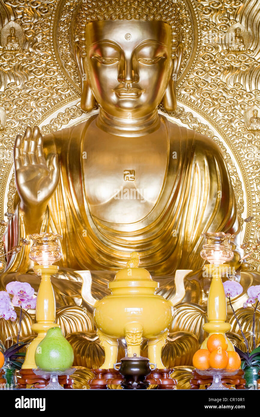 Cina, Hong Kong Kowloon, Wong Tai Sin, Chi Lin tempio buddista, buddha d'oro Foto Stock