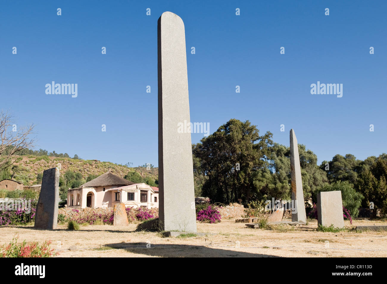 Etiopia, Tigray, città di Axum, le rovine della vecchia città sono classificati come patrimonio mondiale dall' UNESCO, stele campo, lato nord Foto Stock