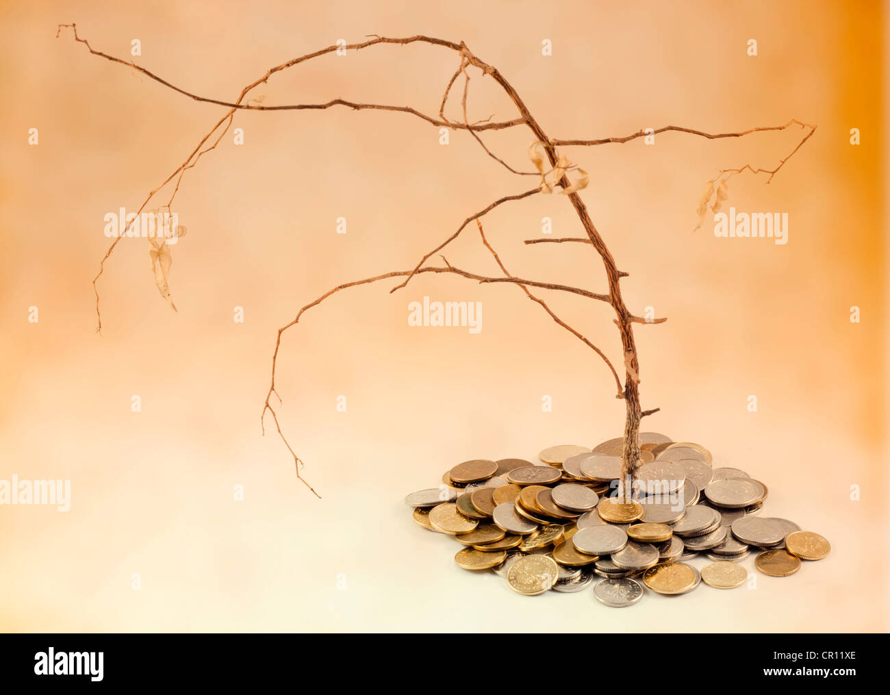 Bad business investment metafora con tre appassite e denaro monete Foto Stock