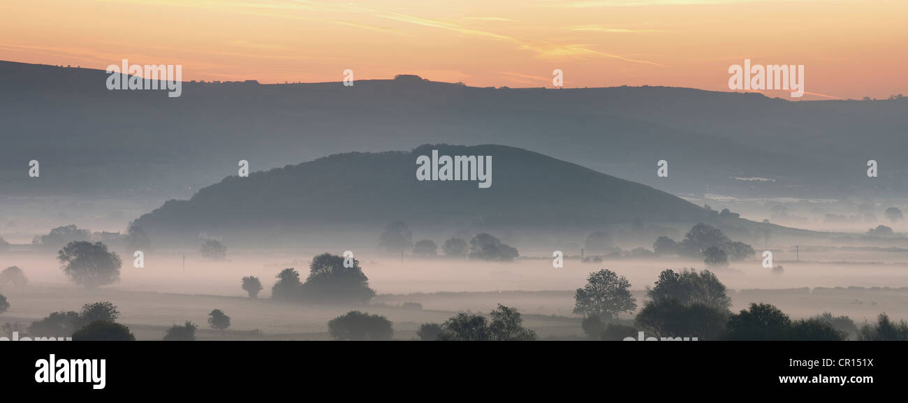 Nyland in una nebbiosa mattina sui livelli di Somerset, Regno Unito. Foto Stock