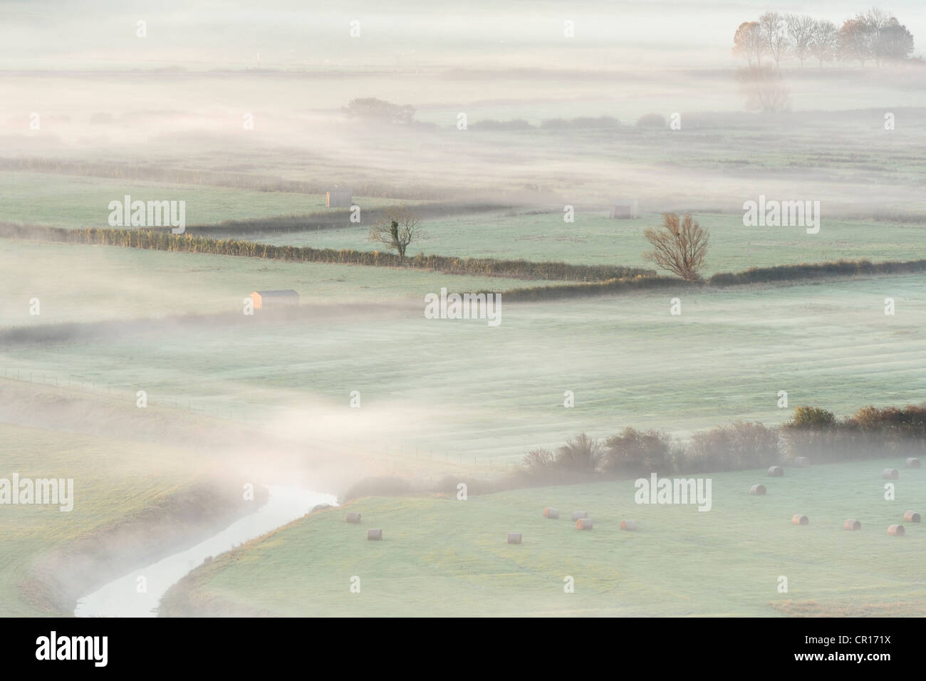 Nebbia sui campi del livelli di Somerset, Regno Unito. Foto Stock
