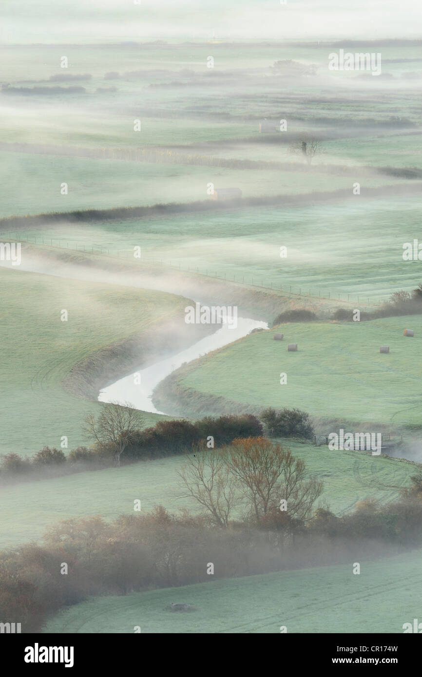 Nebbia sui campi del livelli di Somerset, Regno Unito. Foto Stock