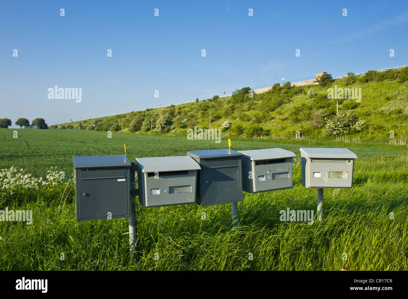 Le cassette postali nel mezzo di un campo, Strukkamphuk, Fehmarn island, Mar Baltico, Schleswig-Holstein, Germania, Europa Foto Stock